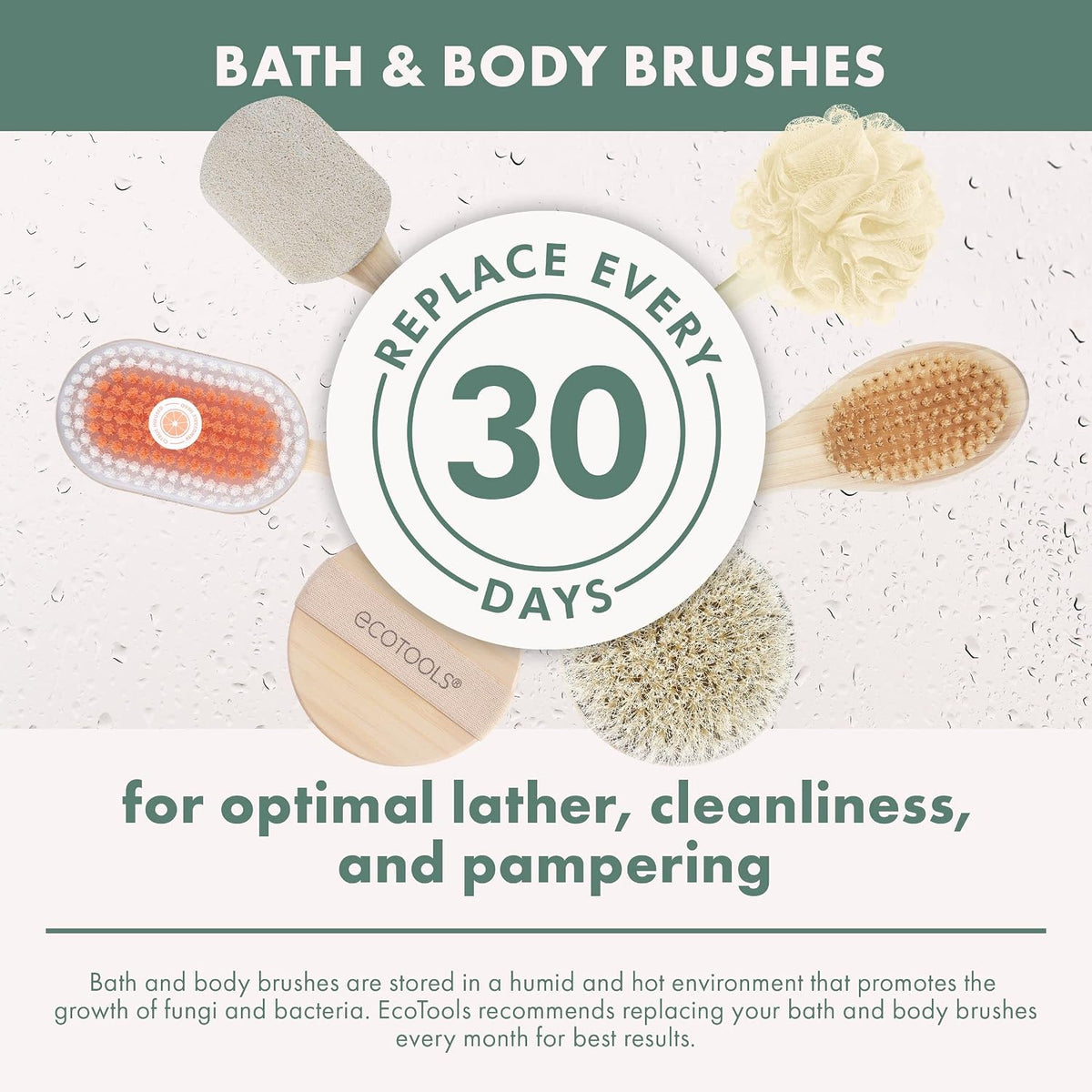 Dry Body Brush, for Post Shower & Bath Skincare Routine, Removes Dirt & Promotes Blood Circulation, Helps Reduce Appearance of Cellulite, Eco-Friendly, Vegan & Cruelty-Free, 1 Count