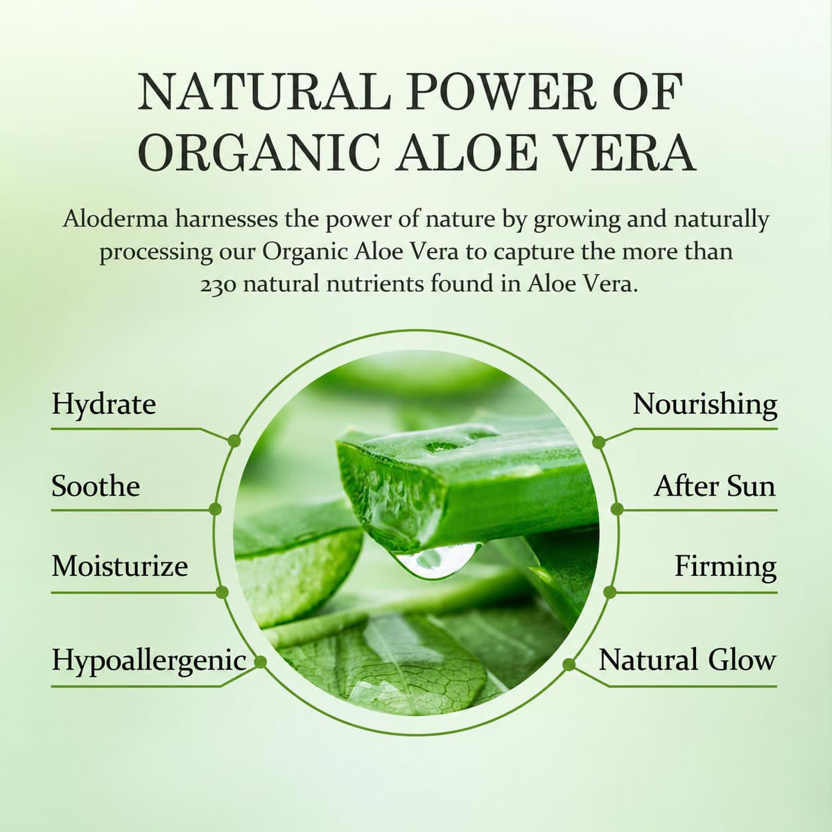 Travel Size Aloe Vera Gel Made within 12 Hours of Harvest with 99% Pure Organic Aloe Vera for Body, Face, & Scalp - Hydrating & Soothing Gel for after Sun Care - 1.5Oz Squeeze Tube