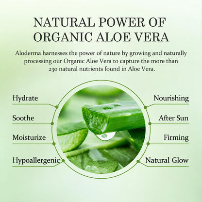 Travel Size Aloe Vera Gel Made within 12 Hours of Harvest with 99% Pure Organic Aloe Vera for Body, Face, & Scalp - Hydrating & Soothing Gel for after Sun Care - 1.5Oz Squeeze Tube
